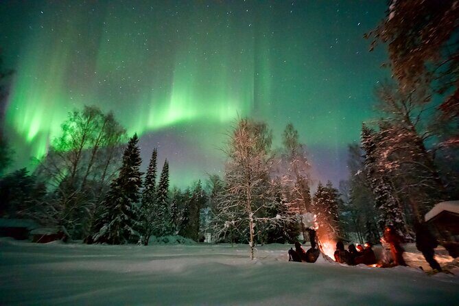 Northern Lights Tour in Atmospheric Cottage - Key points before you go