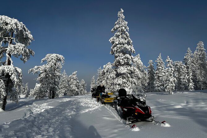 Northern Lights Tour Snowmobile Driving - Aurora hunting time: what the evening feels like in the dark