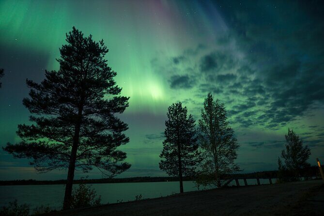 Northern Lights Tour with BBQ and drinks - Campfire BBQ and Lappish tales: what the evening actually feels like