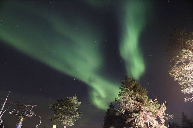 Northern Lights Tour with BBQ and drinks - How the guide helps your aurora chances (and your photos)