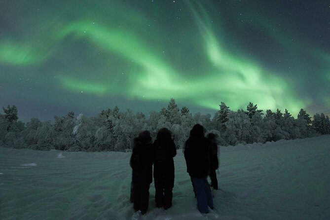 Northern Lights Tour with BBQ and drinks - Who should book this tour in Rovaniemi