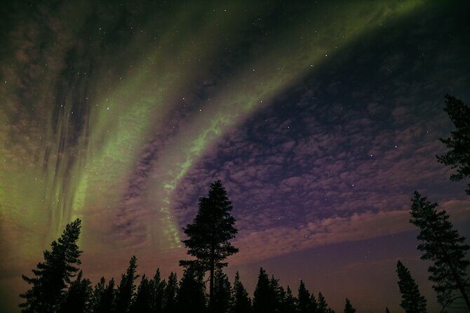 Northern Lights Tour with BBQ and drinks - Price and value: what $138.78 buys in Rovaniemi