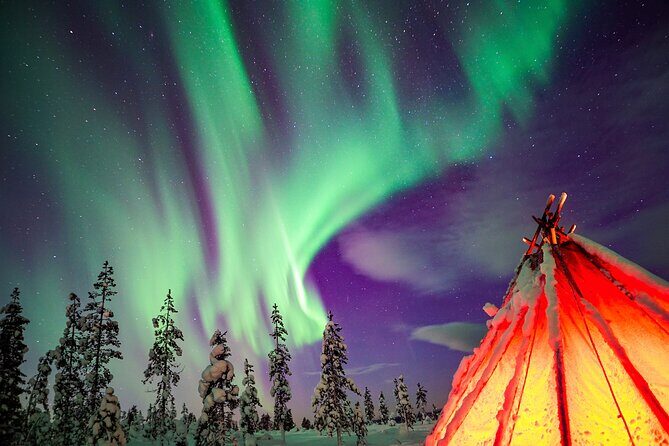 Northern Lights Wilderness Small-Group Tour from Rovaniemi - Key details I think you should know