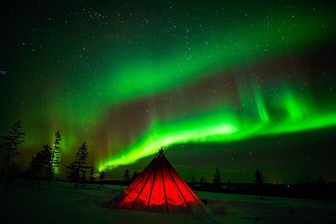 Northern Lights Wilderness Small-Group Tour from Rovaniemi - Price and value: what $155.68 buys you (and what it doesn’t)