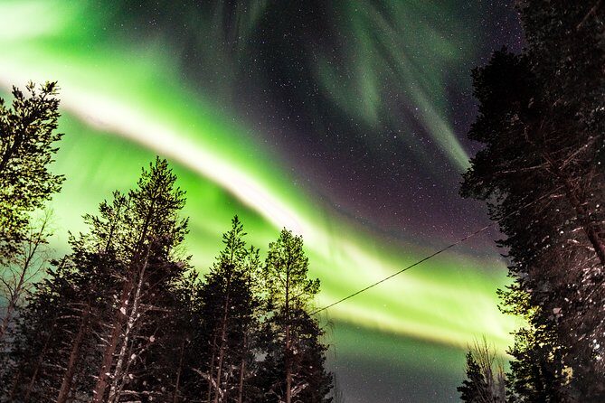 Private Aurora Tour (5 or more) by Aurora Experts - Rovaniemi - Lodge Stop First: Toilets, Facilities, and a Breather