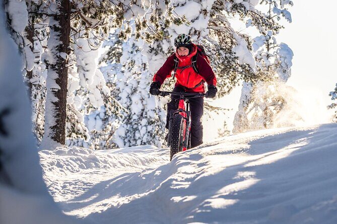 Private Electric Fat Bike Winter Tour in Rovaniemi - Ounasvaara Winter Trail: trails chosen for your comfort level
