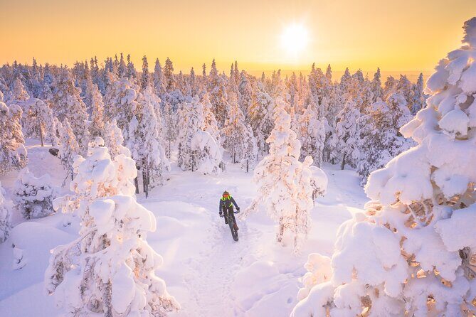 Private Electric Fat Bike Winter Tour in Rovaniemi - From Rovaniemi center to Kemijoki: the first taste of Arctic winter
