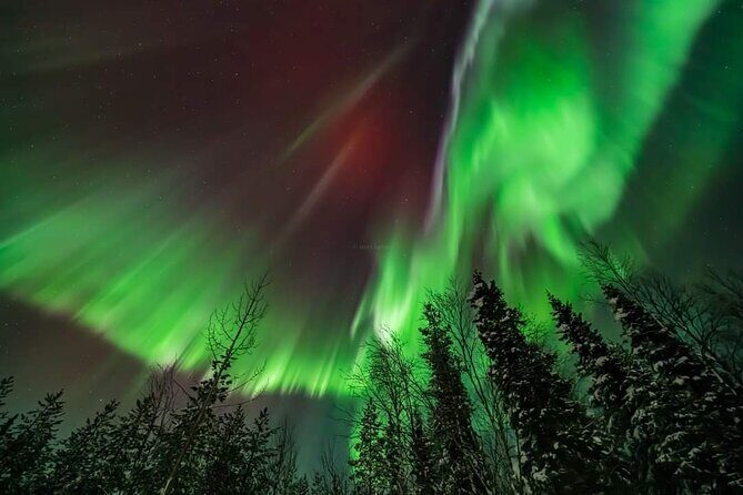 Private Northern Lights Hunting Tour Rovaniemi - WiFi on Board: Sharing the Moment Without Losing Time