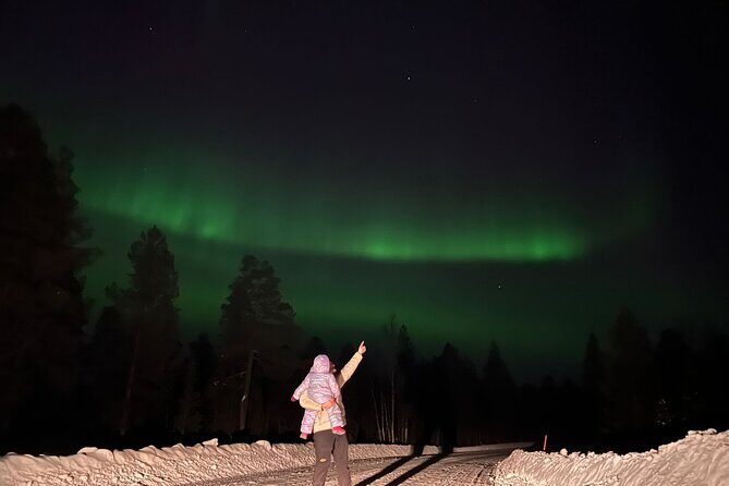 Private Northern Lights Hunting Tour Rovaniemi - Private Transportation With a Group-First Pace