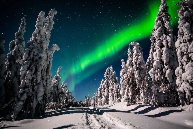 Private Northern Lights photography tour in Rovaniemi - Price and Value: What You’re Really Paying For