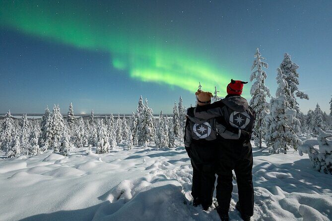Private Northern Lights photography tour in Rovaniemi - When the Night Goes Cloudy: Managing Expectations Honestly