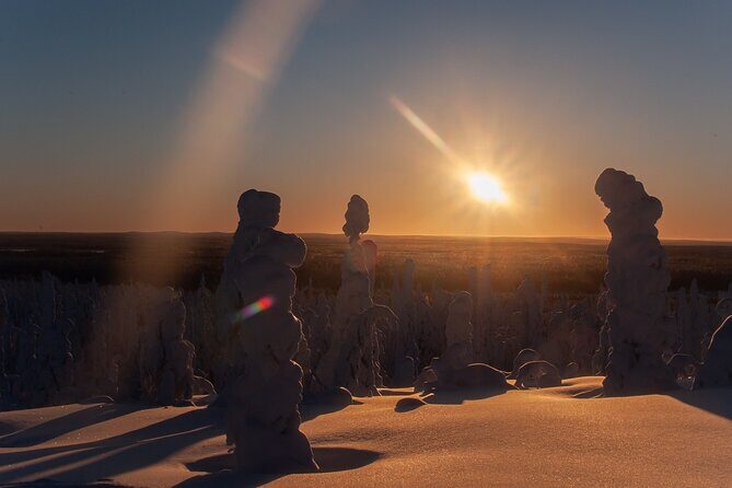Private Snowshoe or Ski Adventure in Lapland from Rovaniemi - Key Things You’ll Want to Know First