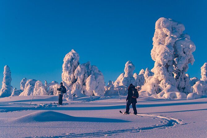 Private Snowshoe or Ski Adventure in Lapland from Rovaniemi - Private Snowshoe or Ski Adventure From Rovaniemi: What Makes It Worth Doing