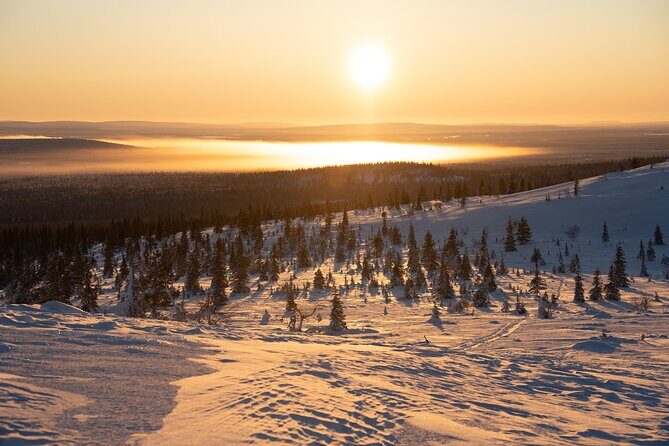 Private Snowshoe or Ski Adventure in Lapland from Rovaniemi - Who This Tour Fits Best in Lapland
