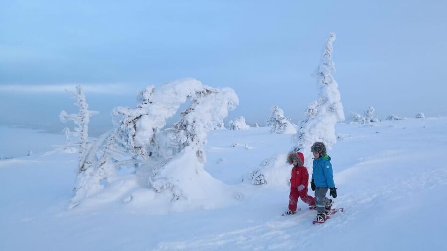 Pyhätunturi: Scenic Snowshoeing Tour in Finnish Lapland - Who this tour is best for (and who should choose something else)