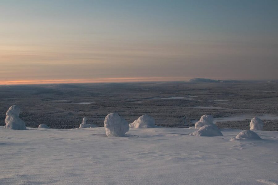 Pyhätunturi: Scenic Snowshoeing Tour in Finnish Lapland - Snow “monsters,” possible halos, and why your camera matters