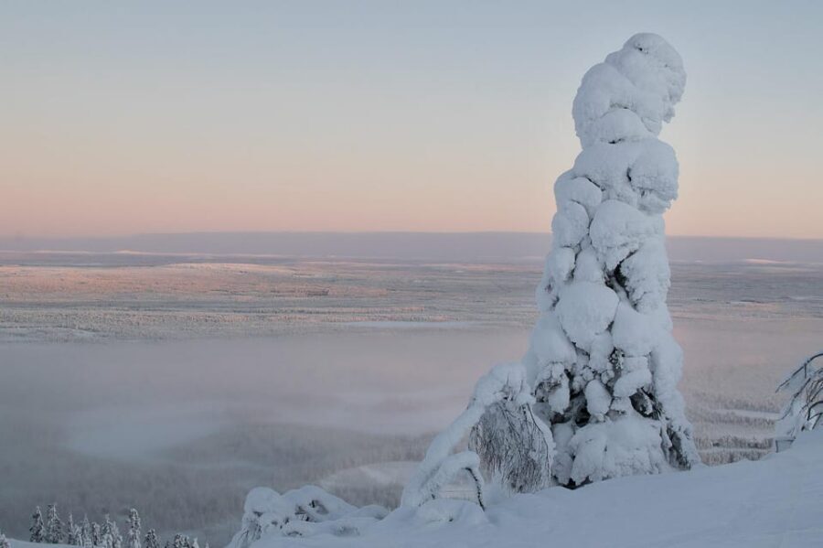 Pyhätunturi: Scenic Snowshoeing Tour in Finnish Lapland - Reindeer paddock stop: a warm moment in a snowy day