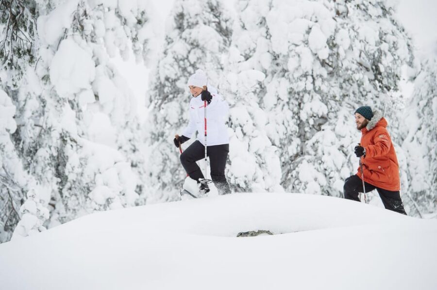 Pyhätunturi: Scenic Snowshoeing Tour in Finnish Lapland - What the hot berry drinks add (and what to bring for comfort)