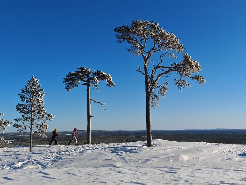 Pyhätunturi: Try Wilderness Skiing in Finnish Lapland - Family Fit and Skill Level: Who This Tour Works For