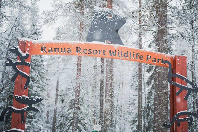 Ranua Wildlife Park Day : Visit the Arctic Animals! - Timing and transport: how the day usually runs