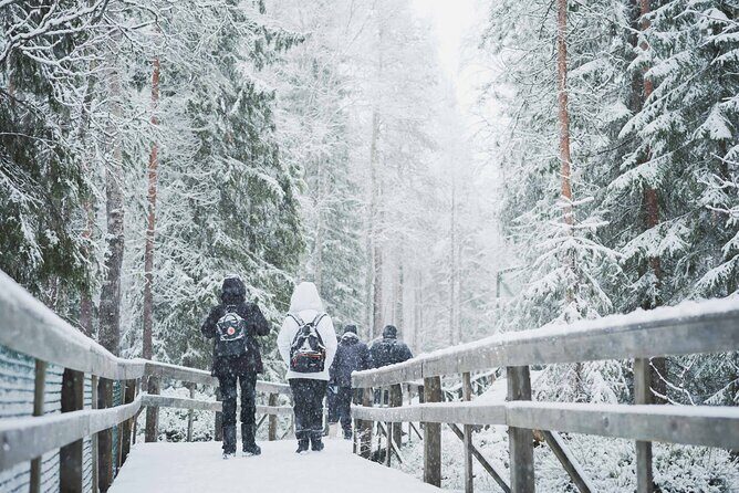 Ranua Wildlife Park Day : Visit the Arctic Animals! - What can affect your sightings in winter