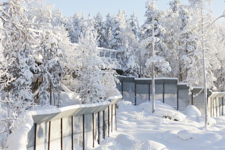 Ranua Wildlife Park Guided Tour from Rovaniemi - Coffee break, restaurant time, and a look at Fazer sweets