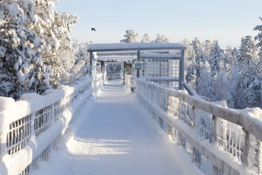 Ranua Wildlife Park Guided Tour from Rovaniemi - Price and value: is $165 per person worth it?