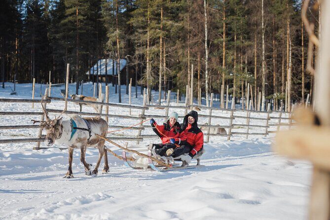 Reindeer Experience with Sledge Ride - The herders’ talk: Sámi culture in everyday practice