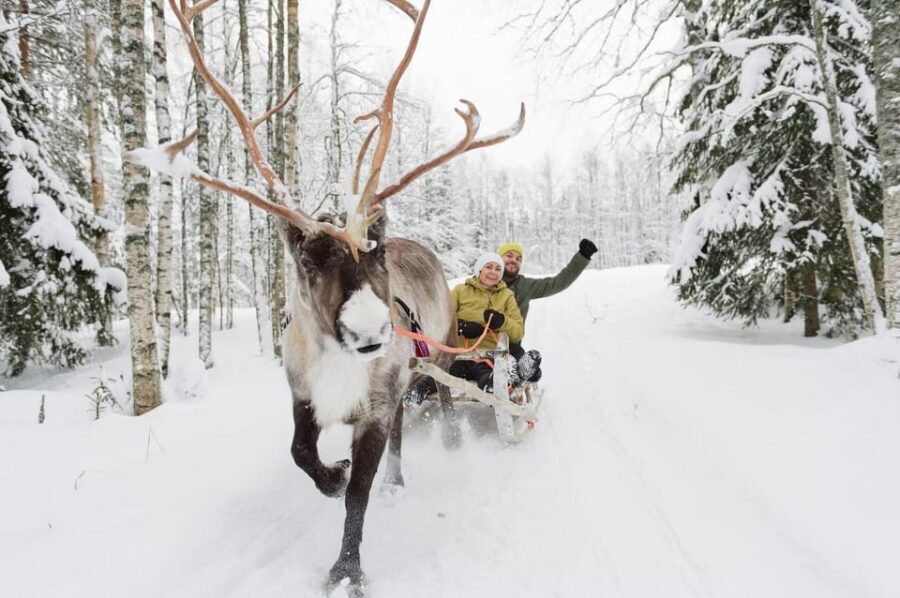 Reindeer Farm Visit with Sleigh Ride - What the guide’s talk adds (and why it can be worth the price)