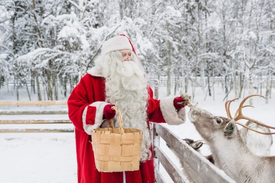 Reindeer Farm Visit with Sleigh Ride - Warm drinks, snacks, and cold-weather reality