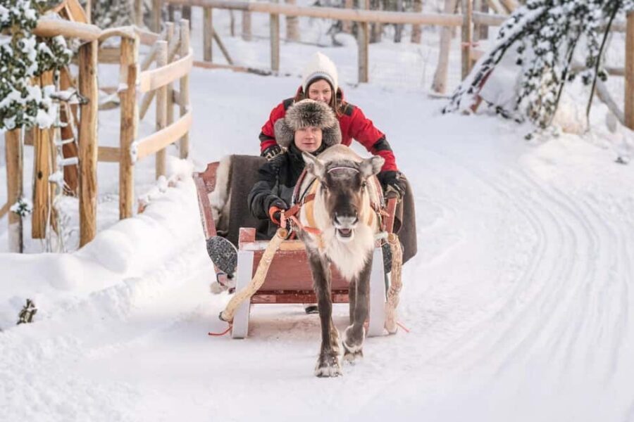 Reindeer Safari at a 200-Year-Old Farm & Long Sled Ride - Key Highlights You’ll Care About