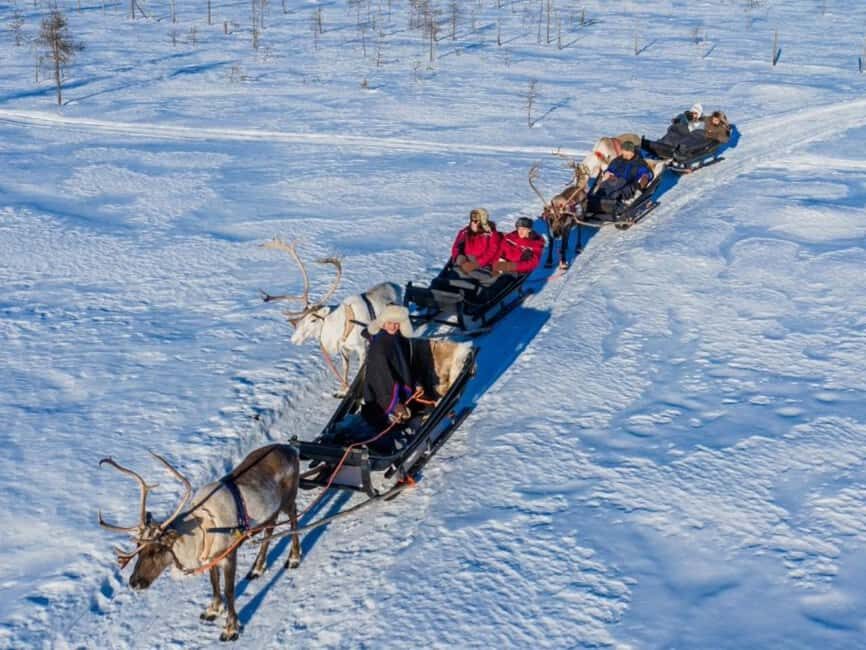 Reindeer Safari at a 200-Year-Old Farm & Long Sled Ride - A 200-Year-Old Farm Changes the Mood