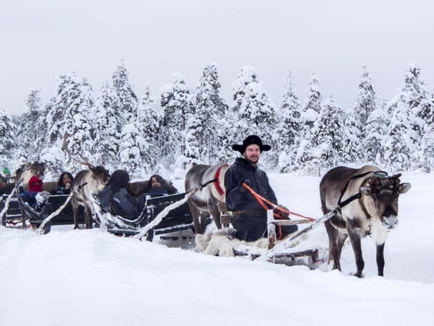 Reindeer Safari at a 200-Year-Old Farm & Long Sled Ride - Meeting Reindeer Up Close (Not as a Prop)