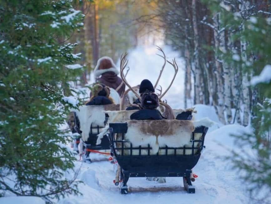 Reindeer Safari at a 200-Year-Old Farm & Long Sled Ride - The Reindeer Driving License: A Fun Certificate That Gets You Smiling