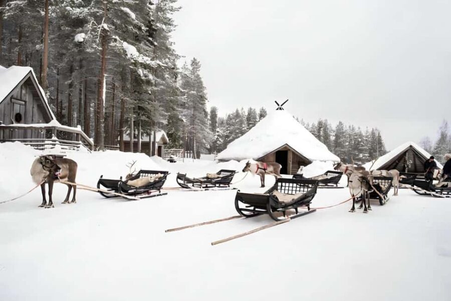 Reindeer Safari at a 200-Year-Old Farm & Long Sled Ride - Price and Value: What You’re Really Paying For