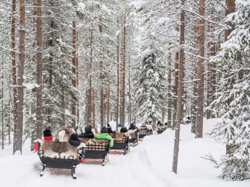 Reindeer Safari at a 200-Year-Old Farm & Long Sled Ride - What to Bring for Cold That Can Bite Hard