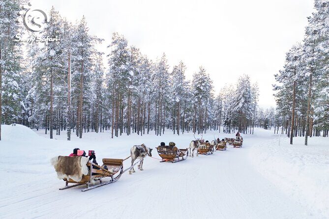 Reindeer Safari in Arctic Wilderness - The Farmhouse Warm-Up: Snacks, Hot Drinks, and Real Explanations