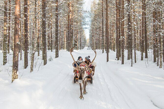 Reindeer Safari in Arctic Wilderness - Getting Warm: Thermal Suits and the Cold-Proof System