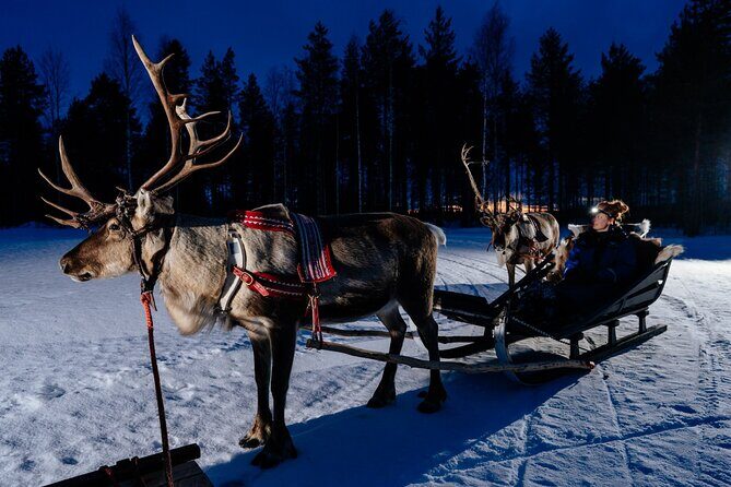 Reindeer Sleigh Ride Across the Night in Apukka Resort Rovaniemi - How the Apukka Night Sleigh Works (The Big Picture)