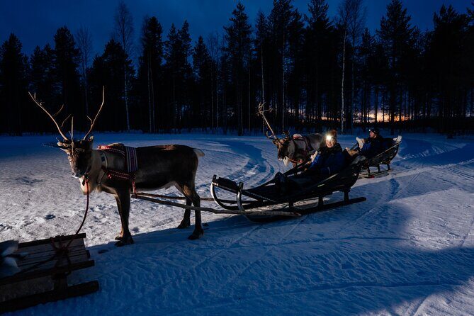 Reindeer Sleigh Ride Across the Night in Apukka Resort Rovaniemi - What Happens on the Sled Ride (And What You’ll Feel)