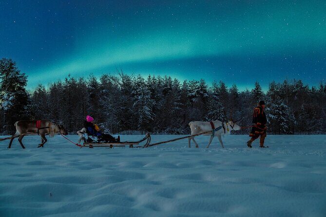 Reindeer Sleigh Ride Across the Night in Apukka Resort Rovaniemi - The Farm Break: Sausages, Hot Juice, and Closer Reindeer Time