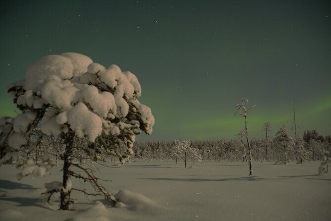 Reindeer Sleigh Ride Across the Night in Apukka Resort Rovaniemi - Group Size, Mood, and Who This Is Best For