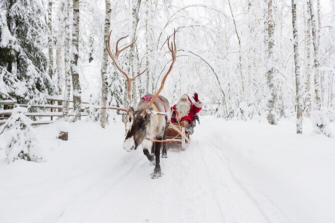 Reindeer Sleigh Ride and Farm Experience from Rovaniemi - Entering A Real Reindeer World, Not Just a Photo Stop