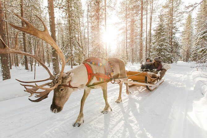 Reindeer Sleigh Ride and Farm Experience from Rovaniemi - The Sleigh Ride Through Snow: Short, Slow Enough, and Very Lapland