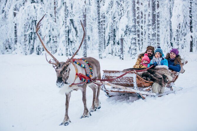 Reindeer Sleigh Ride and Farm Experience from Rovaniemi - Price and Time: How This Fits Into a Tight Rovaniemi Schedule