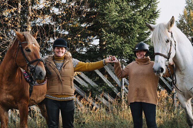 Riding Tour with Finnhorses at Santa Claus Village - Getting there from Santa Claus Village: the meeting point walk