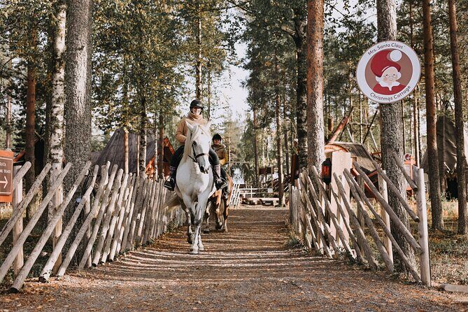 Riding Tour with Finnhorses at Santa Claus Village - The campfire finale: warm drinks, cookies, and Finnhorse stories