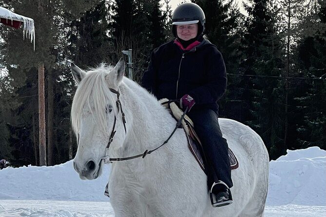 Riding Tour with Finnhorses at Santa Claus Village - Price and value: is $126 for one hour worth it?