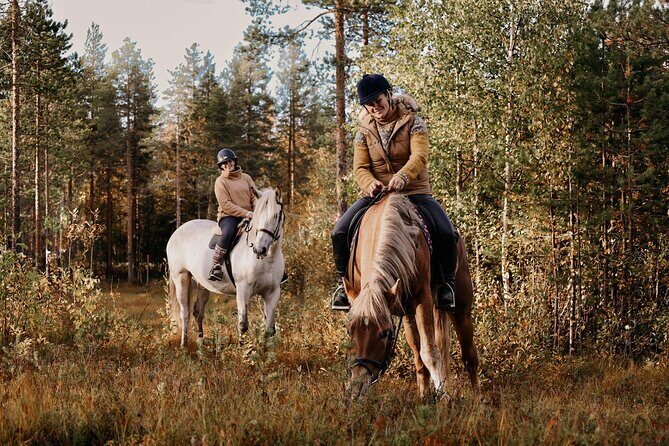 Riding Tour with Finnhorses at Santa Claus Village - Should you book the Finnhorse ride at Aurora Horses?