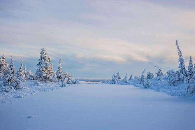 Riisitunturi wilderness adventure - Meals and hot drinks: keeping the energy steady